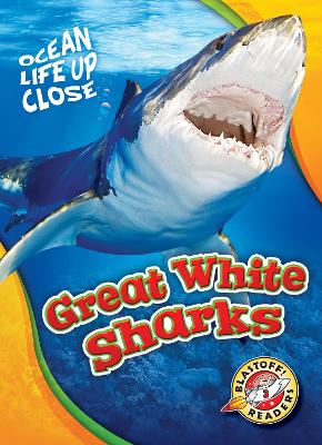Great White Sharks