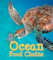 Ocean Food Chains