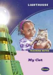 Lighthouse Reception Pink A: My Cat Teachers Notes