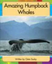 Springboard Lvl 19h: Amazing Humpback Wha
