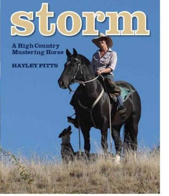 Storm: A High Country Mustering Horse