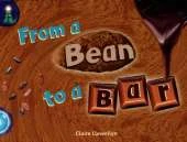 Lighthouse Yr2/P3 Turquoise: Bean to a Bar (6 Pack)