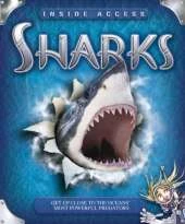 Sharks: Get Up Close to the Oceans' Most Powerful Predators
