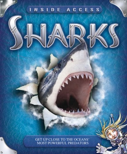 Sharks: Get Up Close to the Oceans' Most Powerful Predators