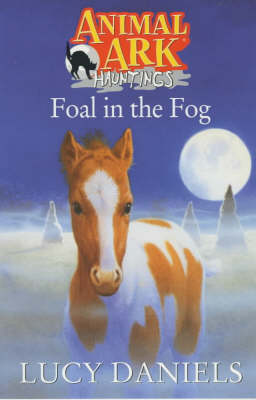 Foal In The Fog