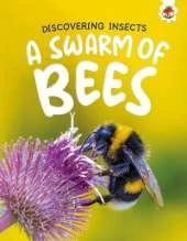 Discovering Insects: A Swarm of Bees