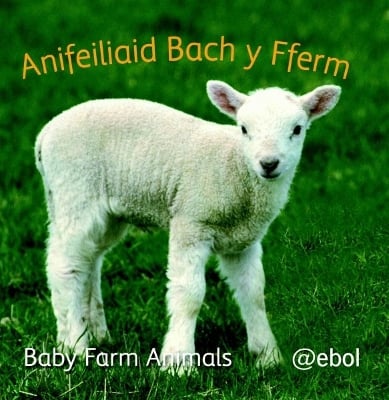 Llyfr Clwt: Anifeiliaid Bach y Fferm / Cloth Book: Baby Farm Animals: Baby Farm Animals - My Photo Soft Cloth Book