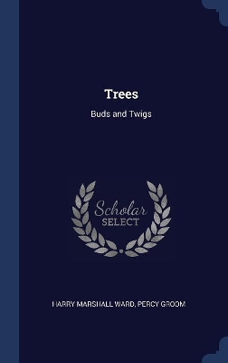 Trees: Buds and Twigs