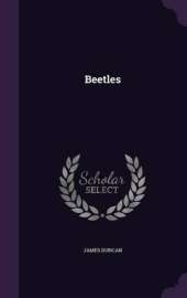 Beetles
