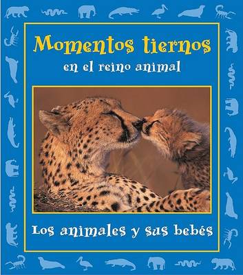 Momentos Tiernos En El Reino Animal: Los Animales y Sus Bebes