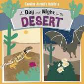 A Day and Night in the Sonoran Desert