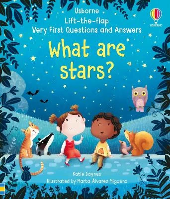 Lift-the-flap Very First Questions and Answers What are stars?