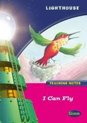 Lighthouse Reception Pink B: I Can Fly Teachers Notes