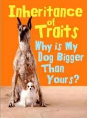 Inheritance of Traits: Why Is My Dog Bigger Than Your Dog?