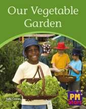 Our Vegetable Garden