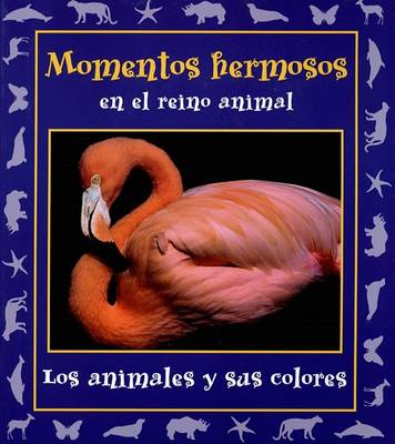 Momentos Hermosos En El Reino Animal: Los Animales y Sus Colores