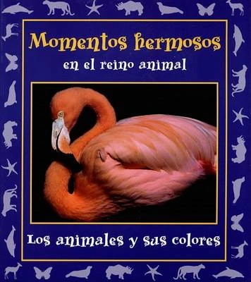 Momentos Hermosos En El Reino Animal: Los Animales y Sus Colores