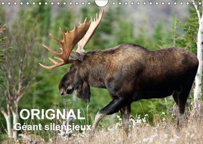 Orignal. Geant Silencieux: L'Orignal du Canada au Fil des Quatre Saisons
