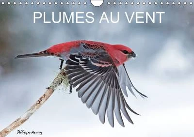 Plumes au Vent: Des Oiseaux en Action au Fil des Quatres Saisons.