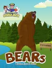 Bears