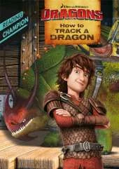 How to Track a Dragon