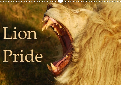 Lion Pride 2019: Captured moments of wild lions in South Africa.