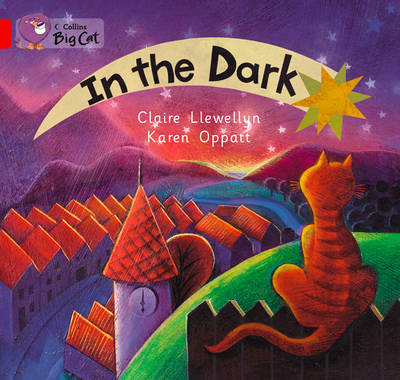 In the Dark Workbook