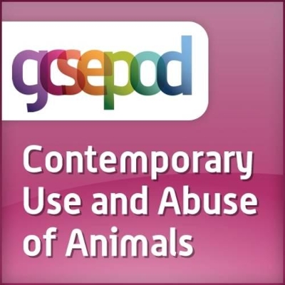 Current Religious Issues: The Contemporary Use and Abuse of Animals