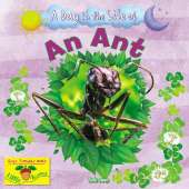 An Ant