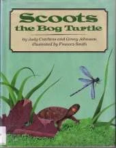 Scoots the Bog Turtle