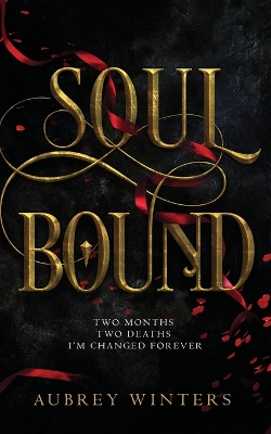 Soul Bound: The Shadow World Book 2