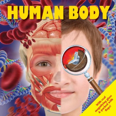 Human Body