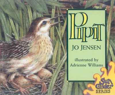 Pipit