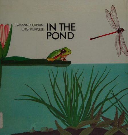 In the Pond