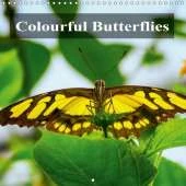 Colourful Butterflies 2019: Colourful Butterflies, different species in detail.