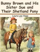 Bunny Brown and His Sister Sue and Their Shetland Pony
