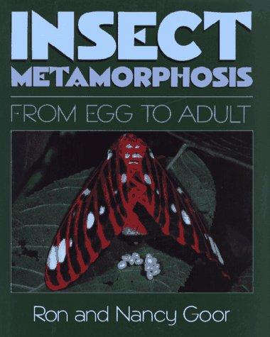 Insect Metamorphosis: From Egg to Adult