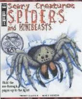 Spiders and Minibeasts