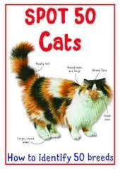 Spot 50 Cats