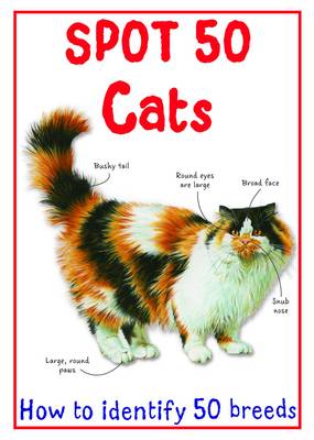 Spot 50 Cats