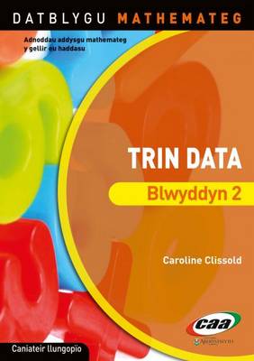 Trin Data Blwyddyn 2