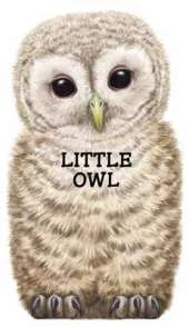 Little Owl: Look at Me