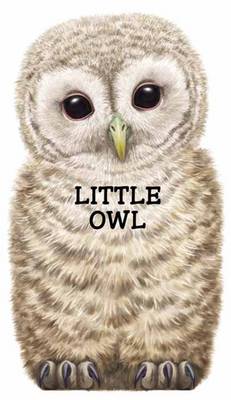 Little Owl: Look at Me