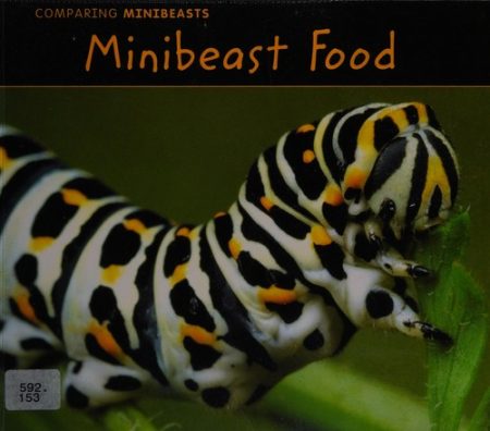 Minibeast Food