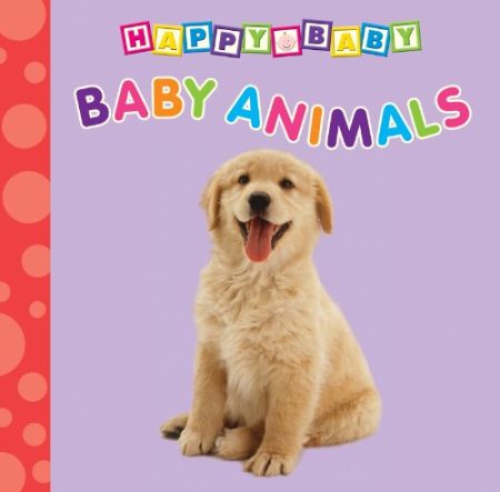 Baby Animals