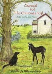 Charcoal and the Christmas Foal
