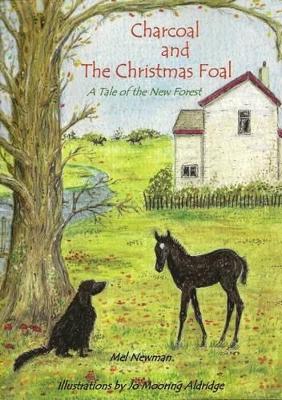 Charcoal and the Christmas Foal