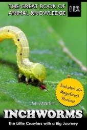 Inchworms: The Little Crawlers with a Big Journey