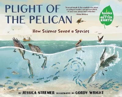 Plight of the Pelican: How Science Saved a Species