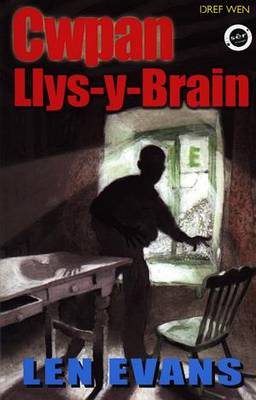 Cwpan Llys-y-Brain
